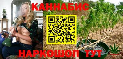 гидра Владикавказ